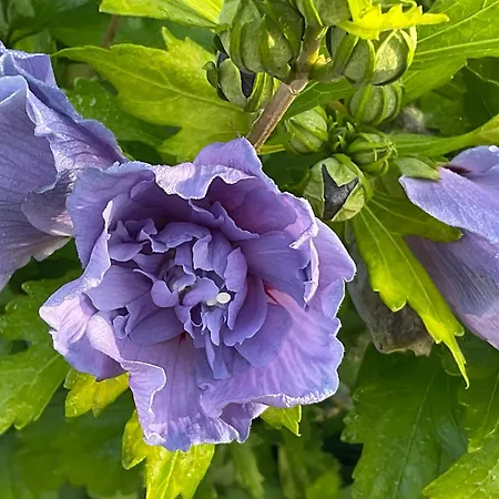 Apartment Etzauer Mühle Weilrod