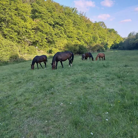Etzauer Muehle Im Taunus,