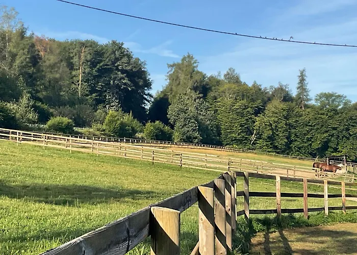 公寓 Etzauer Muehle Im Taunus,