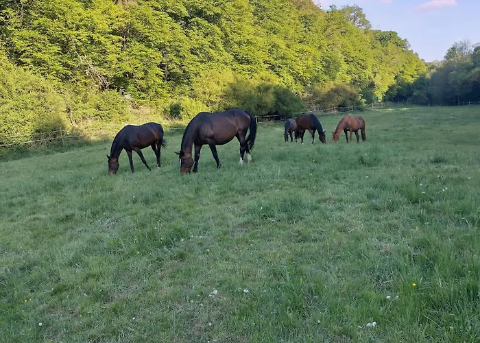 Etzauer Muehle Im Taunus,